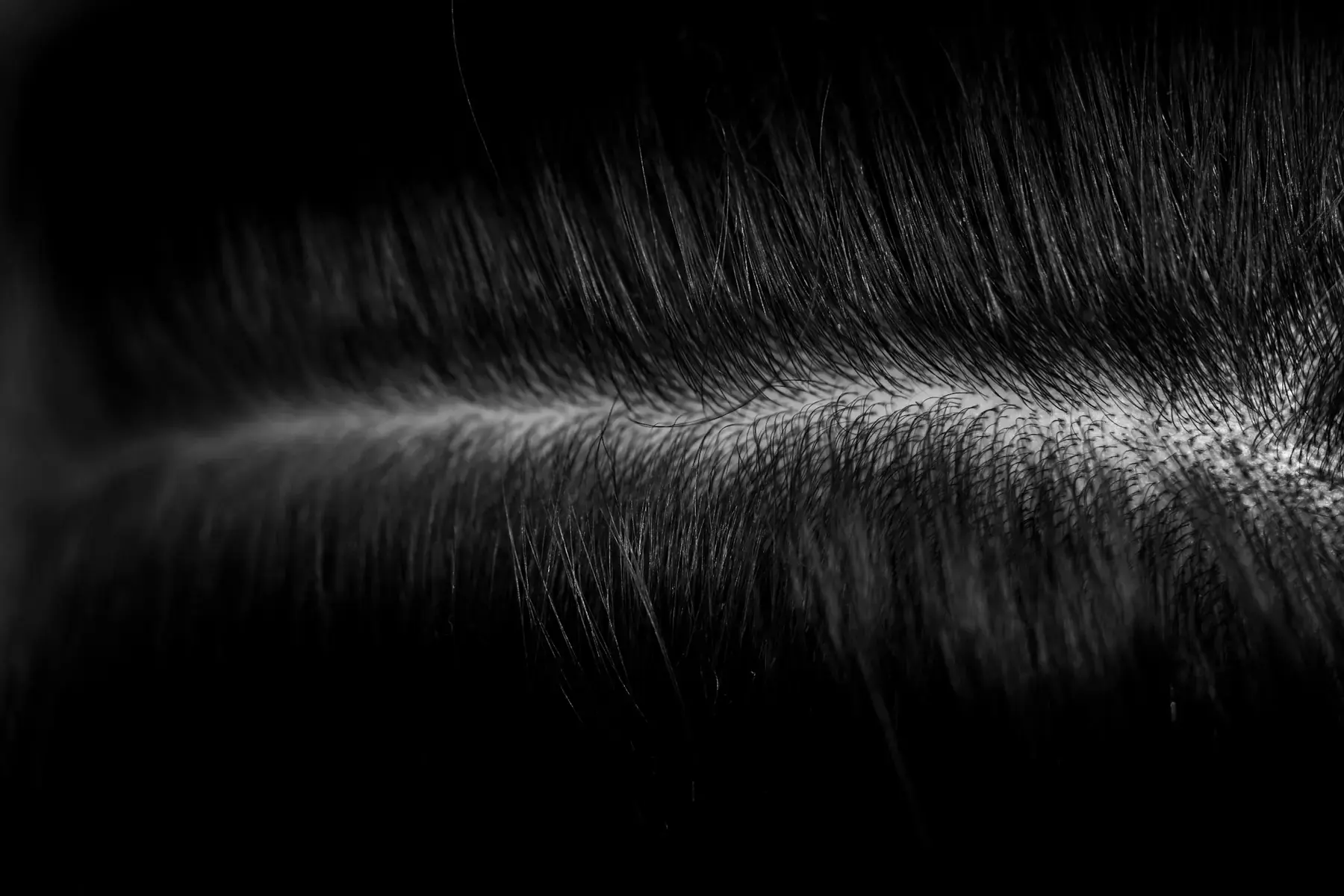 Raw hair et virgin hair, ce qui les sépare